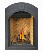 Park Avenue Direct Vent Gas Fireplace (GD82) GD82